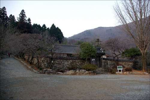 선암사 무우전. 마치 여염집처럼 안존하게 서 있는 이 전각 주변이 가장 아름다웠다. 